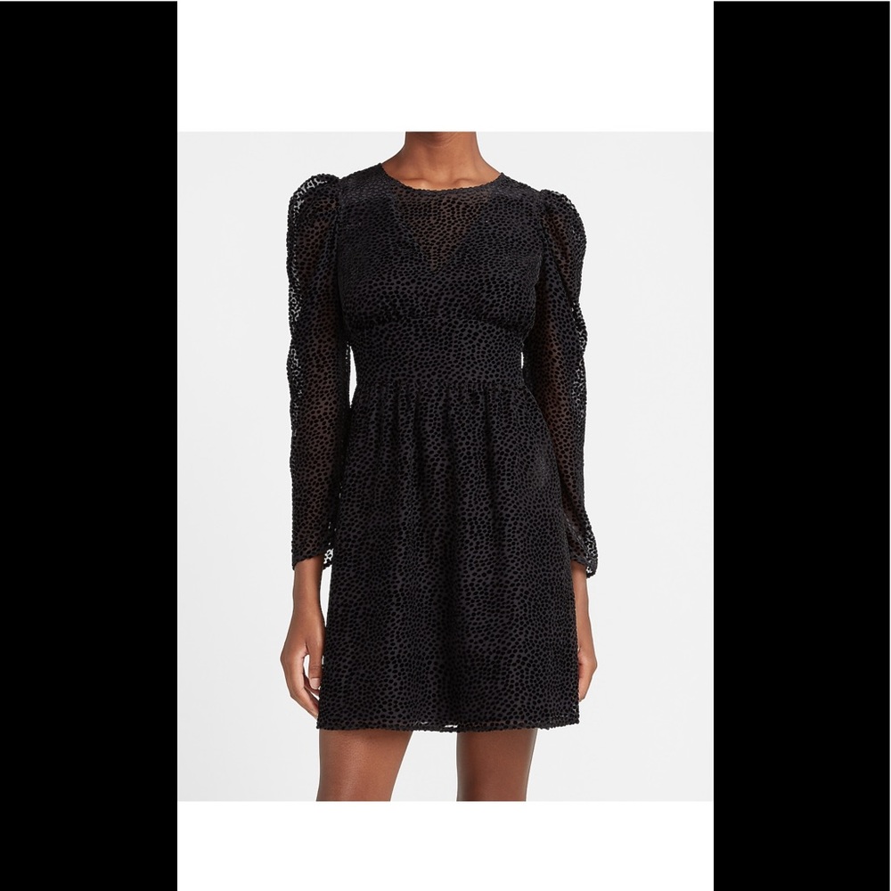 Express Velvet Puff Sleeve Fit and Flare Dress